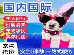 海北祁连航空快运国际宠物托运 【国